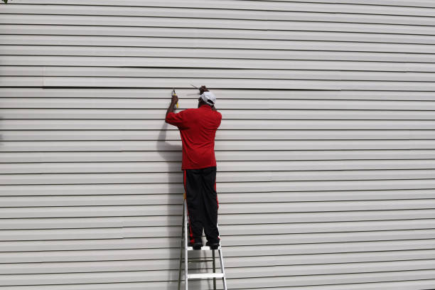 Best Steel Siding Installation  in Gila Bend, AZ